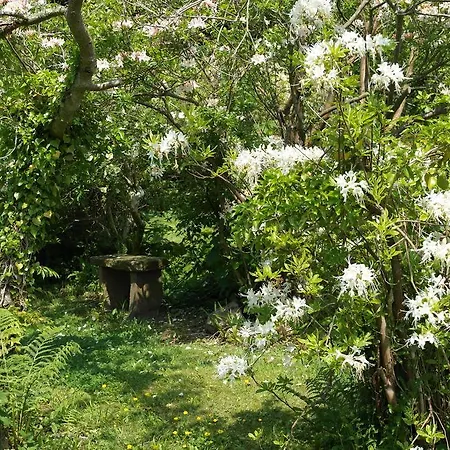 Carleton Green Holmrook