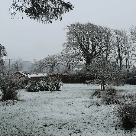 Carleton Green Holmrook