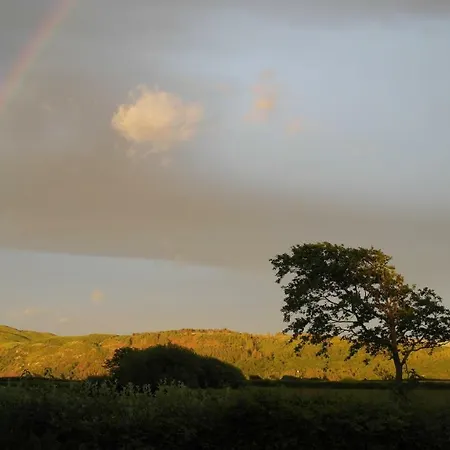 Carleton Green Holmrook